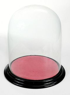 Glass Dome on Fitted Wood Base