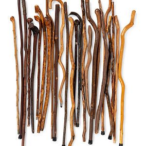 A Large Collection of Naturalistic Canes and Walking Sticks