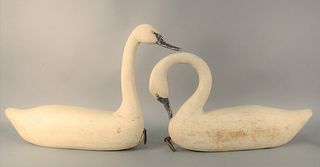 Pair of Carved Swans, one with head up marked "Carved for Connecticut River Museum Auction, George Rennie 1989", height 22 inches, length 35 inches al