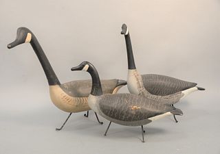 Three Prince Edward Island Standing Canadian Geese by Roy Mill, having original paint.
tallest 26 inches, shortest 19 inches, length...