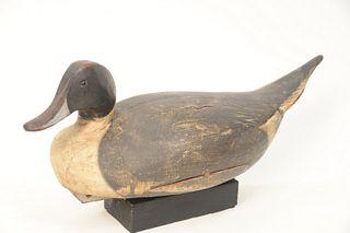 Ward Brothers Pintail Drake Decoy, Crisfield, Maryland, 1948, original paint, turned head (worn), desirable model, signed "Steve and...