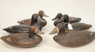Six Broadbill Duck Decoys, to include five hens, one drake, mostly working, (repaints with neck, cracks and repairs).
largest height...