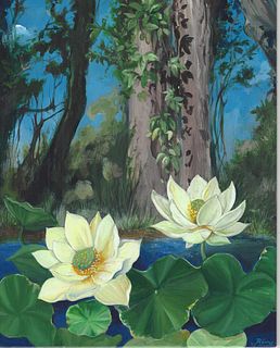 Rémy Rotenier, Lotus Flower