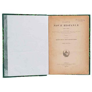 Sesse, Martino - Mocino, Iosepho Mariano. Plantae Novae Hispaniae: Plantas de Nueva España. México, 1893. Segunda edición.