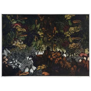 ISMAEL VARGAS, Untitled, Signed, Etching 53 / 70, 40.1 x 62.5" (102 x 159 cm)