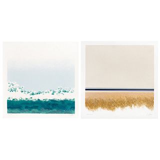 ENRIQUE CATTANEO, a)Trigales b)Olas, Signed and dated 87, Serigraphies 90 / 100 y 92 / 100, 17.3 x 17.3" (44 x 44 cm) each, Pieces: 2