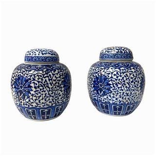 (2) 20th Century Chinese Porcelain Urns