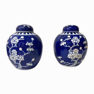 (2) 20th Century Chinese Porcelain Urns