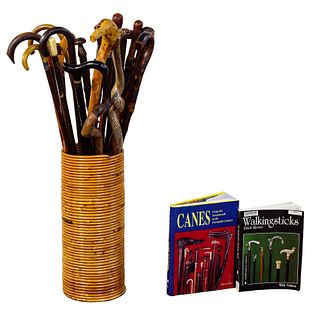 Cane and Walking Stick Assortment