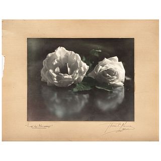 RUBÉN NAVARRO, Las dos hermanas, Signed and dated México 1931 on mat Color vintage print on cardboad, 10.4 x 13.5" image measurements 1