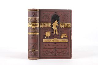 Western Wilds J.H. Beadle Illustrated 1st Ed 1877