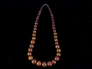 Copal Amber Graduated Trade Bead Necklace