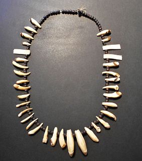 Northern Plains Coyote Teeth Necklace 19th Century