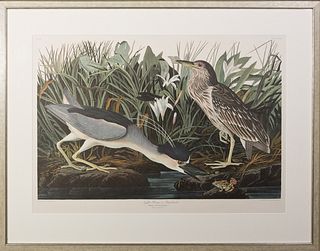 John James Audubon (1785-1851), "Night Heron or Qua Bird," No. 48, Plate 236, Amsterdam edition, plastic wrapped,