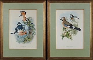 John Gould and H.C. Richter, "Upupa Epops," and "Garrulus Glandarius," 20th c., pair of bird prints after the 19th c. originals, pre...