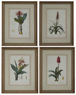 Pierre Redoute (1759-1840), "Hemanthe Multiflora," "Pitcarnie a large Feuille," "Limodore de Tankervill," and "Veltheimia du Cap," 2...