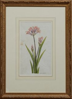 Graeme Whittle (Tasmania), "Pink Flowers," 2002, watercolor signed and dated lower right, presented in a gilt and gesso frame, H.- 1...