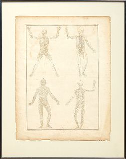 John and Paul Knapton, "Human Musculature," 18th c., engraving, presented in a metal frame, H.- 27 1/2 in., W.- 20 1/4 in.