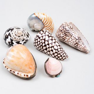 Two Shell Form Snuff Boxes and a Group of Four Shells