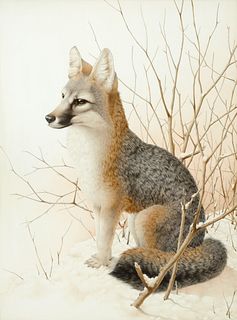 Moricz Karl (20th C.): Fox in Snow