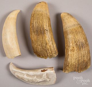 Four antique whale teeth