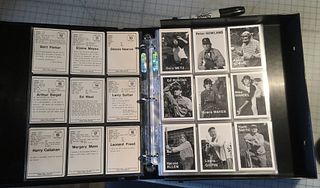 MIKE MANDEL - The Baseball Photographer Trading Cards