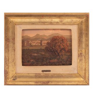 Sergio Bravo Hidalgo. Vista de paisaje con volcán. Firmado y fechado 80. Óleo sobre tela. Enmarcado. 14 x 18 cm