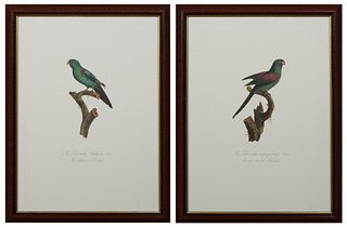 Francois Levaillant (1753-1824, French), "La Perruche a gorge rouge," and "La Perruche Latham," 20th c., pair of colored parrot prints, 67/200, from h