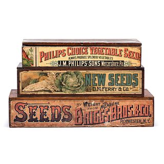 Three Countertop Wood Seed Boxes