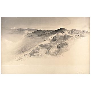 LUIS NISHIZAWA, Paisaje, Signed, Ink on paper, 22.8 x 34.6" (58 x 88 cm)
