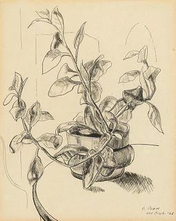 Richard 'Dick' Crisler, Untitled (Plant Still Life), 1928