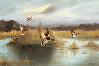 Gerhard Zank, Untitled (Ducks in the Marsh)