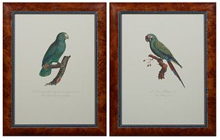 Francois Levaillant (1753-1824), "L'Ara Militaire," and "Le Perruquet a face rouge," 20th c., pair of colored parrot prints, 67/200, from his "Histoir