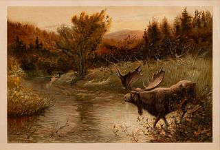 Three prints with text from the portfolio Sport or Fishing and Shooting (Henry Sandham, The Wapiti; Edward Knobel, The Big-Horn; Henry Sandham, The Mo
