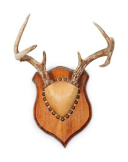 Three Decorative Horn and Antler Mounts
largest width 36 x depth 11 inches; smallest length 12 x depth 9 inches