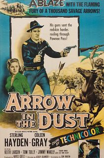 Vintage Movie Poster, An Arrow in the Dust 
37 x 25 inches