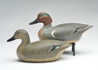 Rigmate pair of greenwing teal, Bill Neal, Black Point, California, 1972.