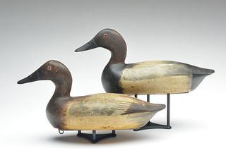 Early rigmate pair of canvasbacks, Bert Graves, Peoria, Illinois, 1st quarter 20th century.
