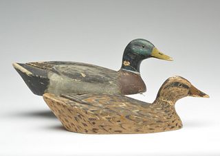 Early pair of working mallards, Mike Frady, New Orleans, Louisiana.