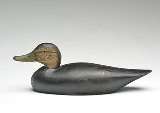 Black duck, Elmer Crowell, East Harwich, Massachusetts, 1st quarter 20th century.