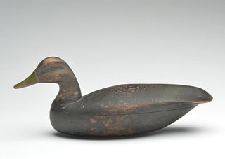 Black duck, John Dorsett, Point Pleasant, New Jersey, last quarter 19th century.