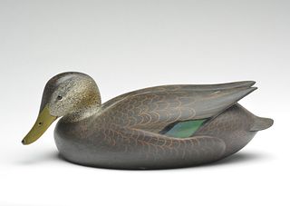 Hollow carved black duck with lifted wings, Ward Brothers, Crisfield, Maryland.