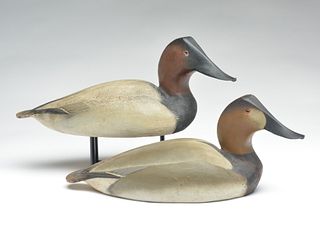Pair of 1948 model canvasbacks, Ward Brothers, Crisfield, Maryland.