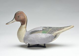 Pinch breasted style pintail drake, Ward Brothers, Crisfield, Maryland, circa 1930.