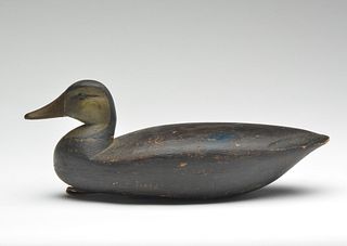 Black duck, Jess Birdsall, Point Pleasant, New Jersey, last quarter 9th century.
