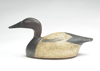 Hollow carved canvasback drake, Augustus Moak, Tustin, Wisconsin.