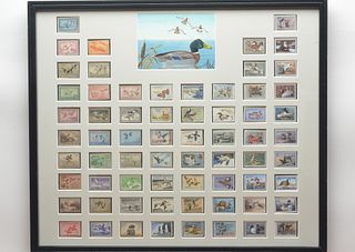 A framed collection of Federal duck stamps.