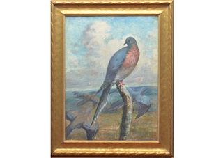 Early oil on canvas laid on board of passenger pigeons, late 19th century.