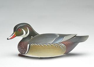 Wood duck drake, George Strunk, Glendora, New Jersey.