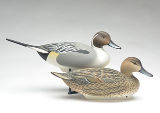 Pair of pintails, Oliver Lawson, Crisfield, Maryland.